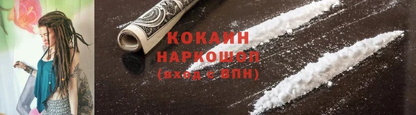 прущие грибы Володарск