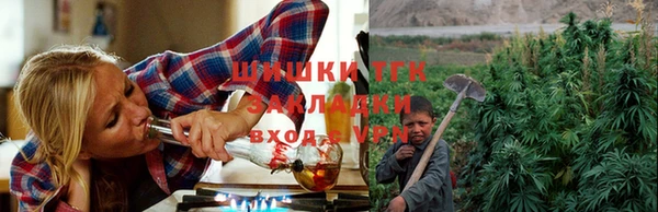 прущие грибы Володарск
