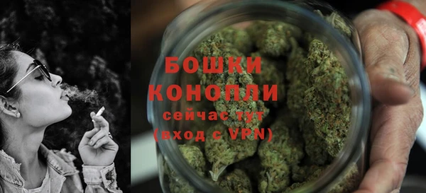 прущие грибы Володарск