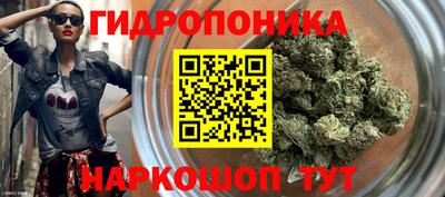 ешки Абакан