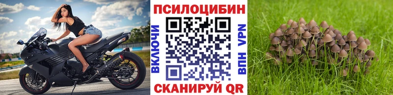 Псилоцибиновые грибы Magic Shrooms Глазов