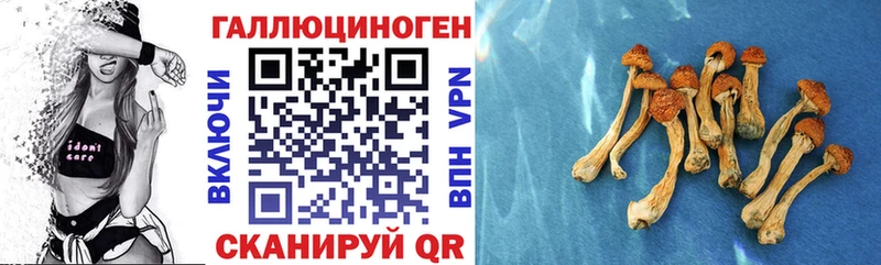 Галлюциногенные грибы GOLDEN TEACHER  где купить наркоту  Глазов 