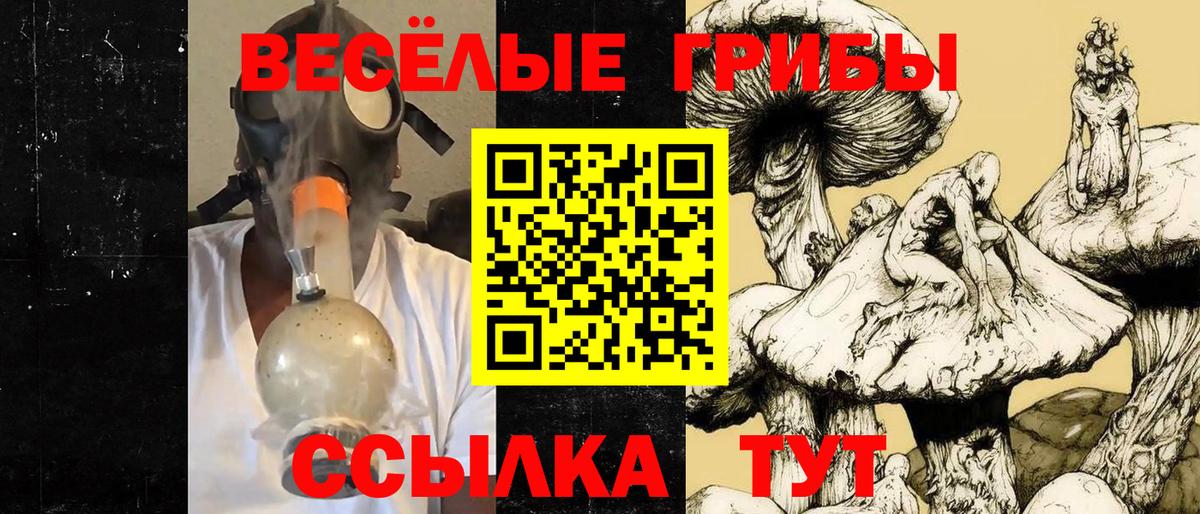 Псилоцибиновые грибы прущие грибы  Вход с VPN  Глазов 