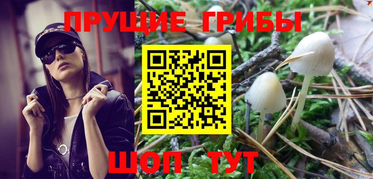 Глазов  Галлюциногенные грибы MAGIC MUSHROOMS  Вход с VPN 