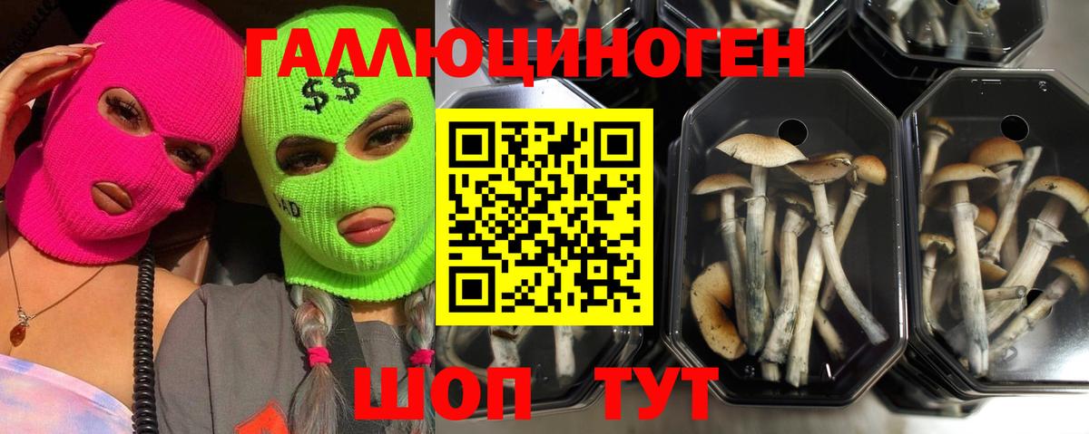 Галлюциногенные грибы мухоморы Глазов